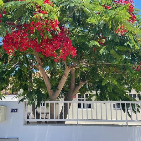 Casa Enamorado Tarajalejo Kültér fotó